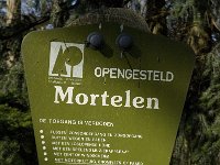NL, Noord-Brabant, Oirschot, De Mortelen 14, Saxifraga-Jan van der Straaten